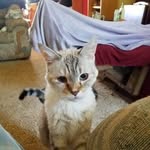 Barbara Eppler Williams - @realtor.1 - Instagram