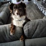 barbara eppler Williams - @barbaraepplerwilliams - Instagram