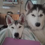 Barbara Ann Gunderson Erhardt - @berhardt1 - Instagram