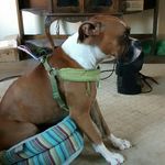 Barbara Erickson - @barbara.erickson.98 - Instagram