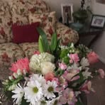 Barbara Erickson - Facebook