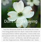 Barbara Erickson - Facebook