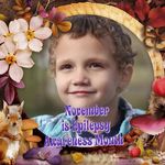 Barbara Erickson - @bshyrose61 - Instagram