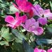 Barb Erler - Facebook