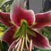Barbara Erler - Facebook