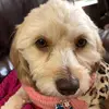 user982408035948 - @barbara_erler - TikTok
