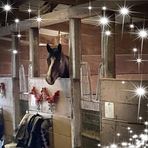 Barbara Fallon - Facebook