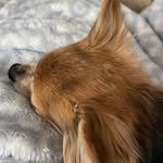 Barbara Farmer - @barbarafarmer1949 - Instagram