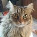 Barbara Feagin - Facebook