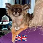 Barbara Featherstone - @granny_ogg - Instagram