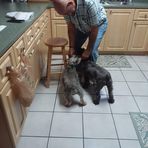 Barbara Obregon Febles - Facebook