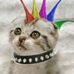 Barbara Fechner - Facebook