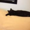 barbarafederman42 - @barbarafederman42 - TikTok