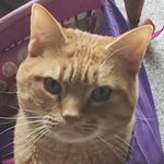 Barbara Feeley - @barbara.jimmy53 - Instagram