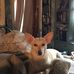 Barbara Feinstein - Facebook