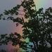 Barbara Feltner - Facebook