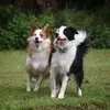 Barb Fenner - @barb.fenner - TikTok