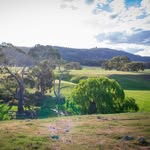 Barbara Fenner - @beckworthretreat - Instagram