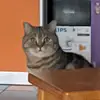 Barbara Fennern - @barbarafennern671 - TikTok