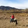 Barbara Ferber - @barbara.ferber7 - TikTok