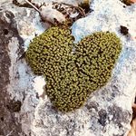 Barbara Della Polla Ferrante - @barbaradellapolla - Instagram