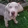 Barbara Ferri - @barbara.ferri0 - TikTok