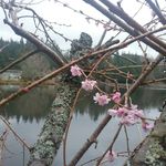 Barbara Ferris - @barbara.ferris.7 - Instagram