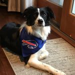Barbara Field - @field9682 - Instagram