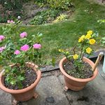 Barbara Fielden - @fielden972 - Instagram