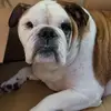 barbarafifield - @barbarafifield - TikTok