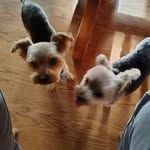 Barbara File Schuster - @barbarafileschuster - Instagram