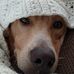 Barbara Files-Lucier - Facebook