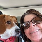 Barbara Finley - @barbarafinley588 - Instagram