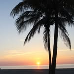 Barbara Finney - @sweetnsavorybaker1 - Instagram