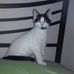 Barbara Finney - Facebook