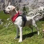 Barbara Fiorelli - Facebook