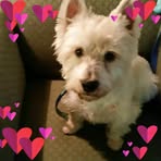Barbara Firebaugh - Facebook