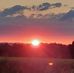 Barbara Firestone - Facebook