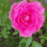 Barbara Firth - @firth.barbara - Instagram