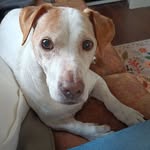 Barbara Fishman Goldman - @barbaragpix - Instagram