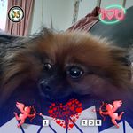 Barbara Flack - @barbara_flack1 - Instagram