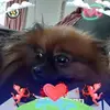 Barbara Flack - @barbara.flack0 - TikTok