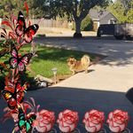 Barbara Schuster Flack - @barbara_flack - Instagram