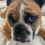 Barbara Flatley Merritt - @sparklebarbs - Instagram