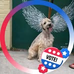 Barbara Flaugher - Facebook