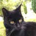 Barbara Flavell - Facebook