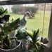 Barb Flavin - Facebook