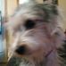 Barbara Fleck - Facebook