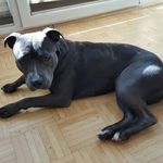 francesca - @barbara.fleck772017 - Instagram