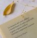 Barbara Fleischmann - Facebook
